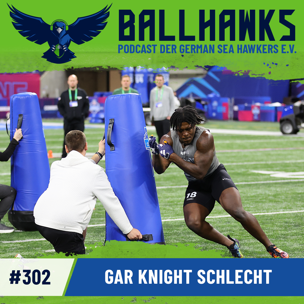 Ballhawks – Podcast der German Sea Hawkers e.V.