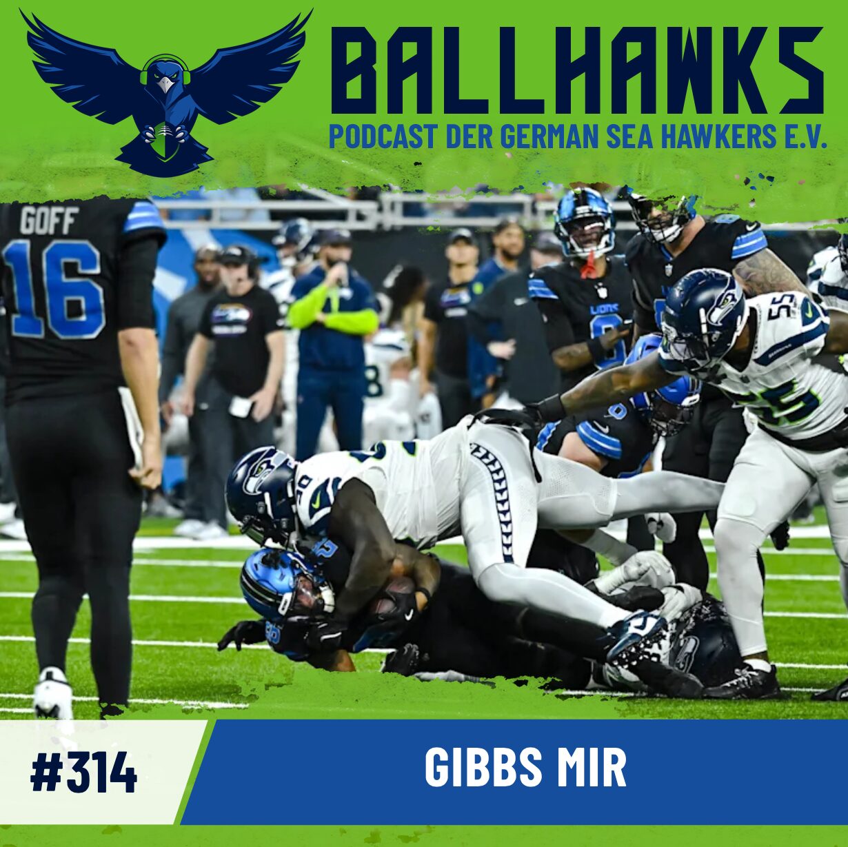 Ballhawks – Podcast der German Sea Hawkers e.V. (m4a-Feed)