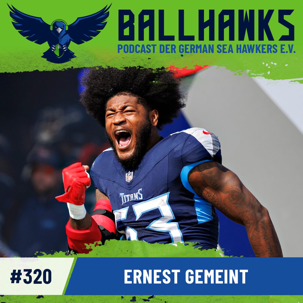 Ballhawks – Podcast der German Sea Hawkers e.V.