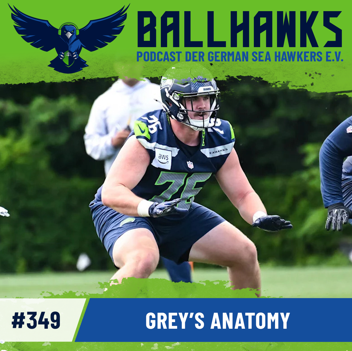 Ballhawks – Podcast der German Sea Hawkers e.V. (m4a-Feed)